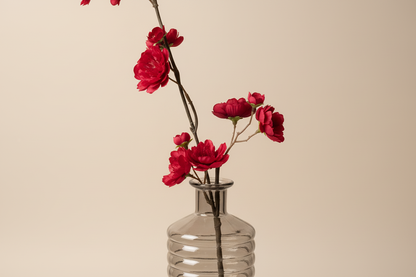 Close-up rode bloesemtak