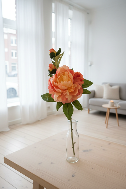 Oranje pioenroos in interieur