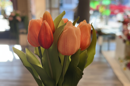 Oranje tulpen close-up