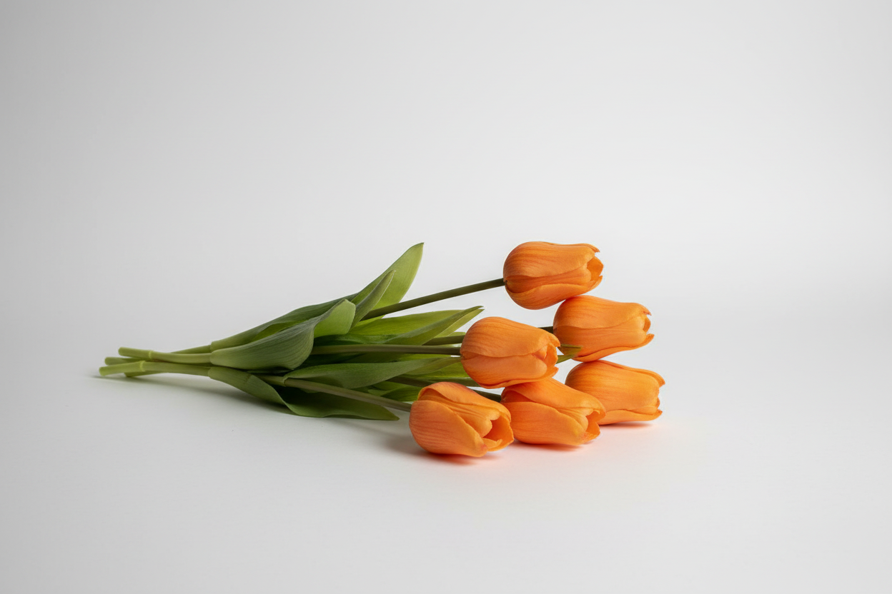 Oranje tulpen productfoto