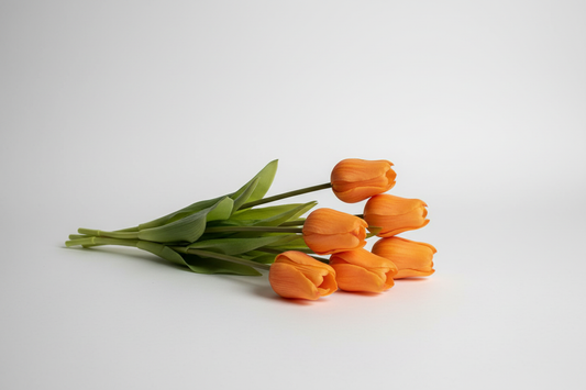 Oranje tulpen productfoto