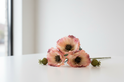 Perzik klaprozen productfoto