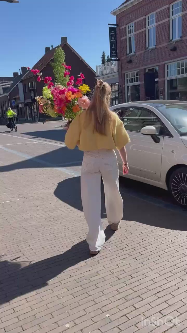 Video laden: 