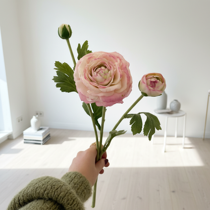 Roze ranonkel met donker randje in minimalistisch interieur